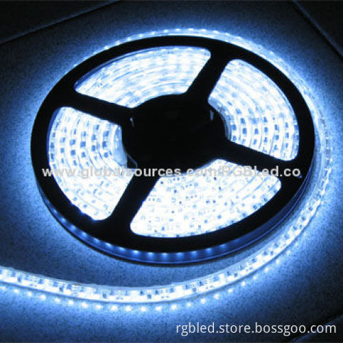 3528SMD Flexible LED Strip with 60pcs/m Quantity and 48W Maximum Power